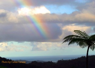 Fiji Rainbow horizontal 450x for Blog Critics