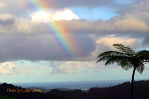 Fiji Rainbow horizontal 450x for Blog Critics