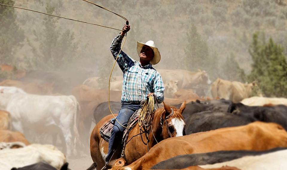 Clint Casey ropes cattle on his ranch in Oregon. (c) Cirina Catania